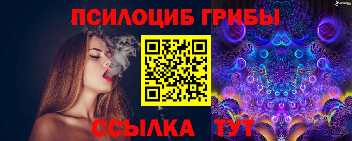 Псилоцибиновые грибы Psilocybe Верхняя Салда