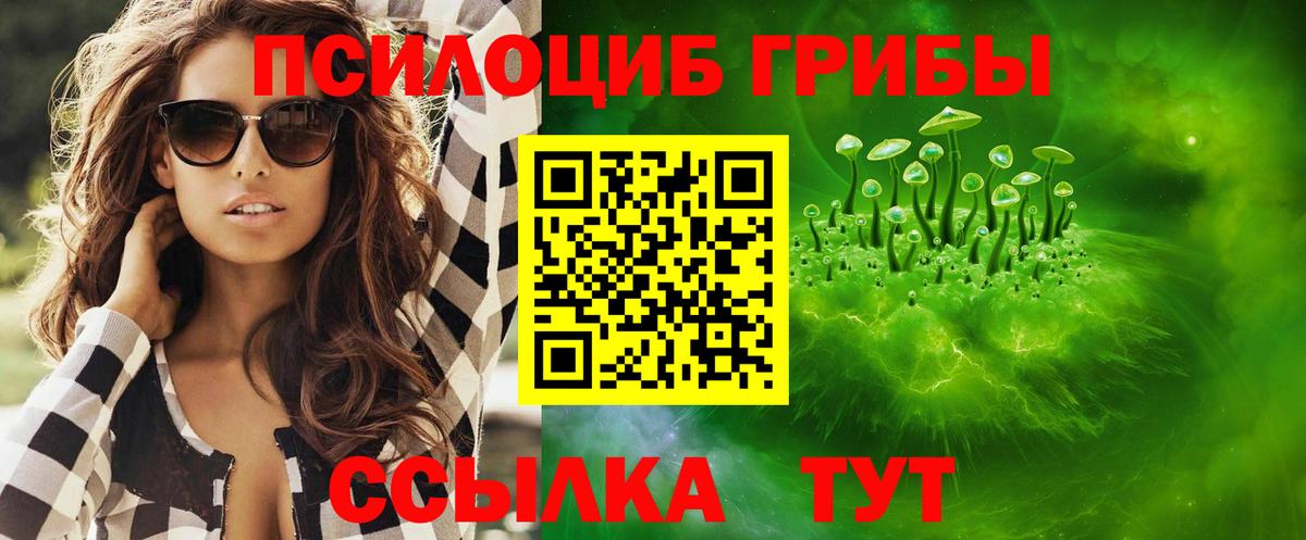 Галлюциногенные грибы Psilocybe  Вход с VPN  Верхняя Салда 